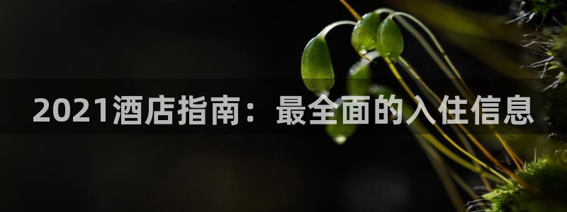 威廉希尔网站平台|2021酒店指南：最全面的入住信息